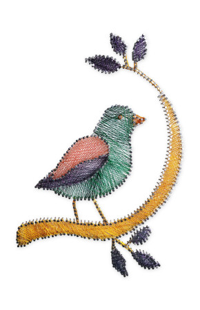 Kuş Flografi Sanatı
