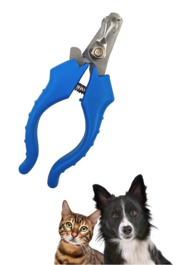 evcil hayvan kedi ve köpek paslanmaz çelik yaylı tırnak makası ve düzeltme, 0747916831099, evcil hayvan ürünleri, Quilling Seti