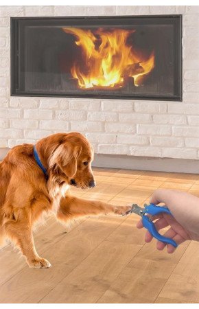 Evcil Hayvan Kedi ve Köpek Paslanmaz Çelik Yaylı Tırnak Makası ve Düzeltme