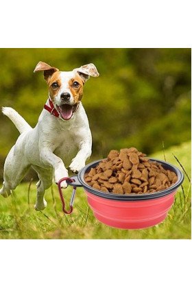 Katlanabilir Kedi Köpek Mama ve Su Kabı Köpek Oyuncağı