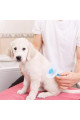 kedi köpek tüy toplayıcı kendini temizleyebilen ergonomik saplı evcil hayvan tarağı mavi, cln734328791, evcil hayvan ürünleri, Quilling Seti