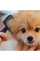 otomatik temizlenebilen tuşlu pratik kedi köpek tüy toplama fırçası, 8683270835248, evcil hayvan ürünleri, Quilling Seti