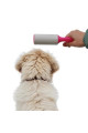 kedi ve köpekler için pratik tüy alma ve temizleme tüy toplama makinesi rulo aparat, 9047555173729, kedi ürünleri, Quilling Seti
