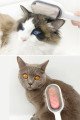 su hazneli kedi ve köpek tüyü toplamama fırçası su hazneli pet tarağı, ak66yt0066-24032, kedi ürünleri, Buffer