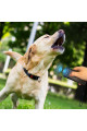 buffer® ultrasonik köpek kovucu  ve eğitici cihaz, 70651043, elektronik ürünler, Buffer
