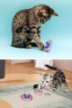 yaylı metal fareli kafes kedi oyun topu sıçrayan spiral kedi topu, lvr1y8684003011601, kedi ürünleri, Quilling Seti