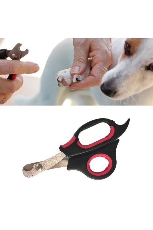 Büyük Irk Köpek Kedi Çelik Uçlu Evcil Hayvan Tırnak Makası Pati Bakım Aleti Ergonomik Kaymaz, NN70YT2355-59172 büyük irk köpek kedi çelik uçlu evcil hayvan tırnak makası pati bakım aleti ergonomik kaymaz, nn70yt2355-59172, evcil hayvan ürünleri, Buffer